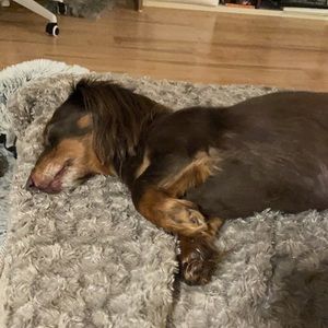 Meet your Posher, Ivanna